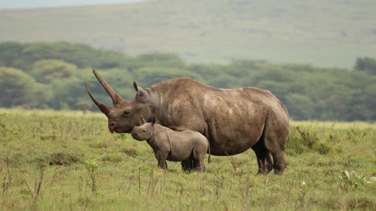 Professor of Evolutionary Ecology,  Royal Society B, Kenyan scientists,  Royal Society, Nature, World