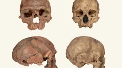 Record-breaking simulation shows, human species,  Homo heidelbergensis, Eurasia , H. sapiens, world