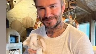 Eva Longoria, David Beckham shares carrots ,  family's new bunny, Easter , Victoria's birthday, world