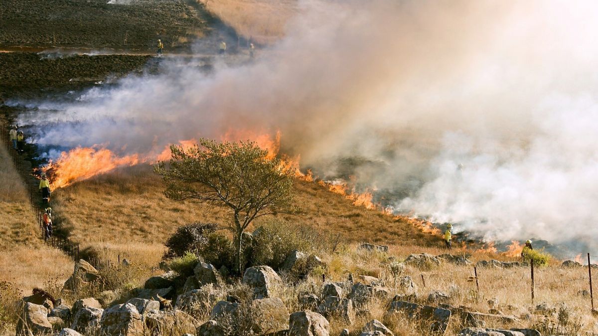 Wildfires, World, climate change, nature, National Center for Atmospheric Research