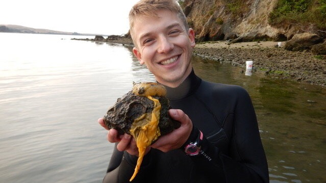 Invasive species , studies ,  biological invasion, Native species in California, climate change, World