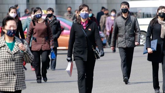 North Korea,  Covid-19,  WHO,  KCNA,  South Korea