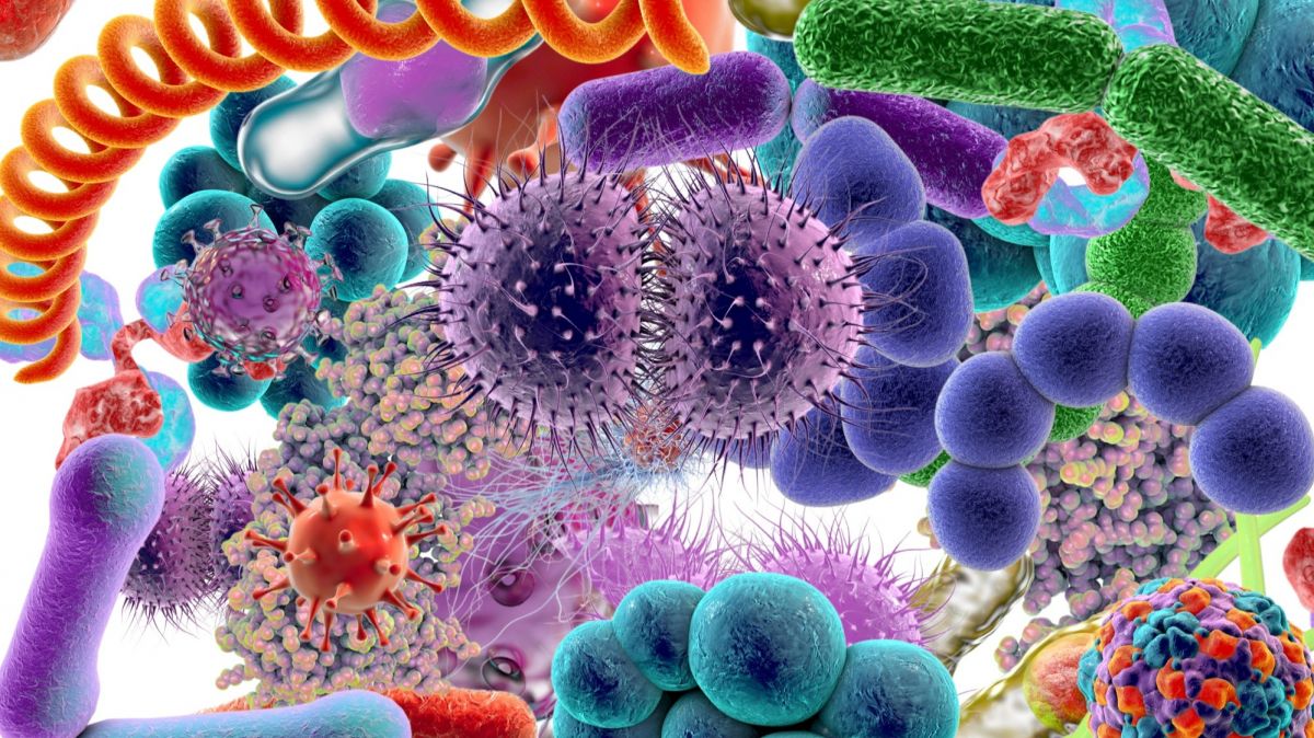 World Health Organization,  Monkeypox,  Covid-19,  WHN,  PHEIC