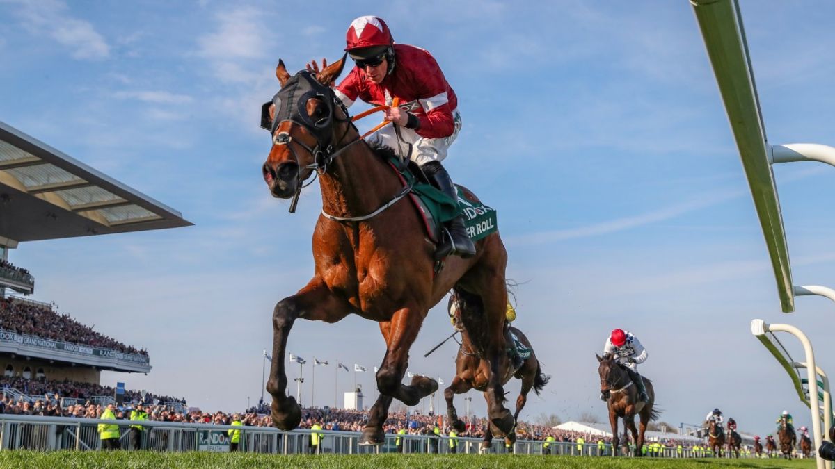 Tiger Roll, horse,  horse racing, Cheltenham Festival