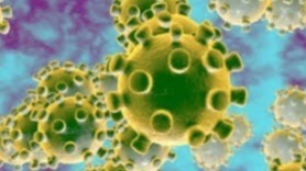 Covid, Corona, Covid19, illness, virus