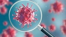 Corona Update, Corona19, Corona Virus Update