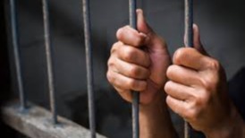 new york, sexual assault