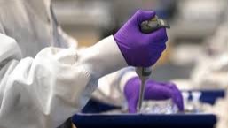 Image of the testing of the virus.