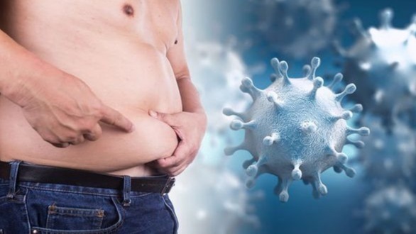 Coronavirus weight in grams, Corona Virus Weight, Corona Weight, Covid19 Weight