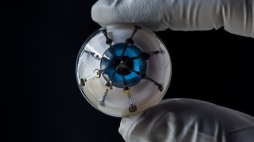 bionic eye, optical wavelength, Hong Kong University of Science and Technology