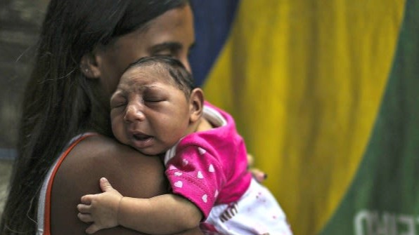 Zika Virus, zika, Neuroscientist, Brazil