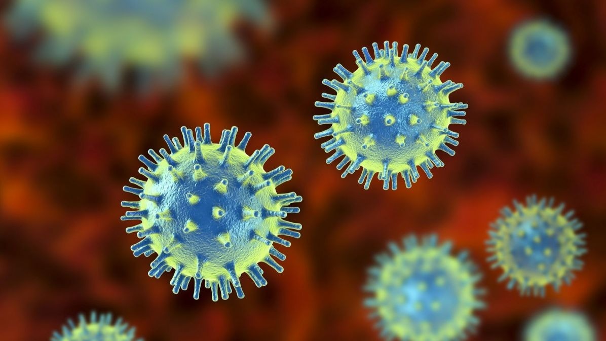 virus, cell, virology, virus-earth