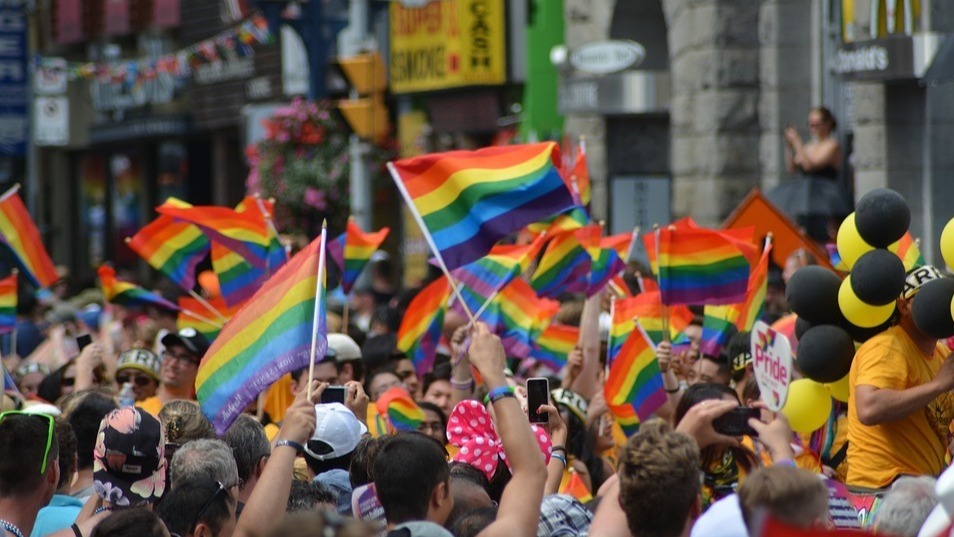 lgbtq flags, lgbt rights, lgbt history, pride month, current lgbt rights, june month, lgbt meaning, humans, lgbt issues