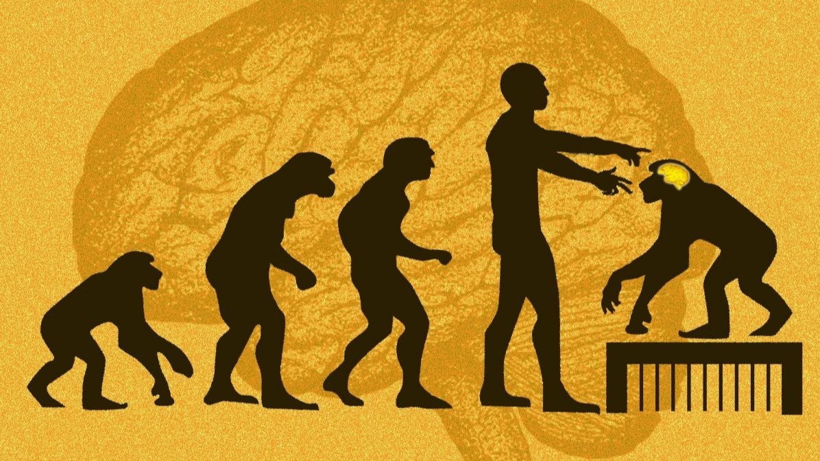 Chinese scientists , human, monkey, brain