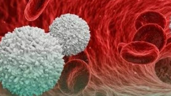 immune, immune system, types, Non-Specific innate immunity, Specific innate immunity