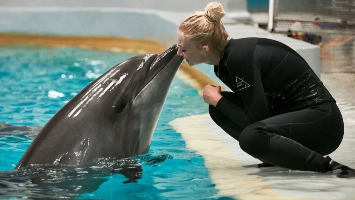 National Aquarium , Baltimore, Animal, Zoo, COVID-19, corona