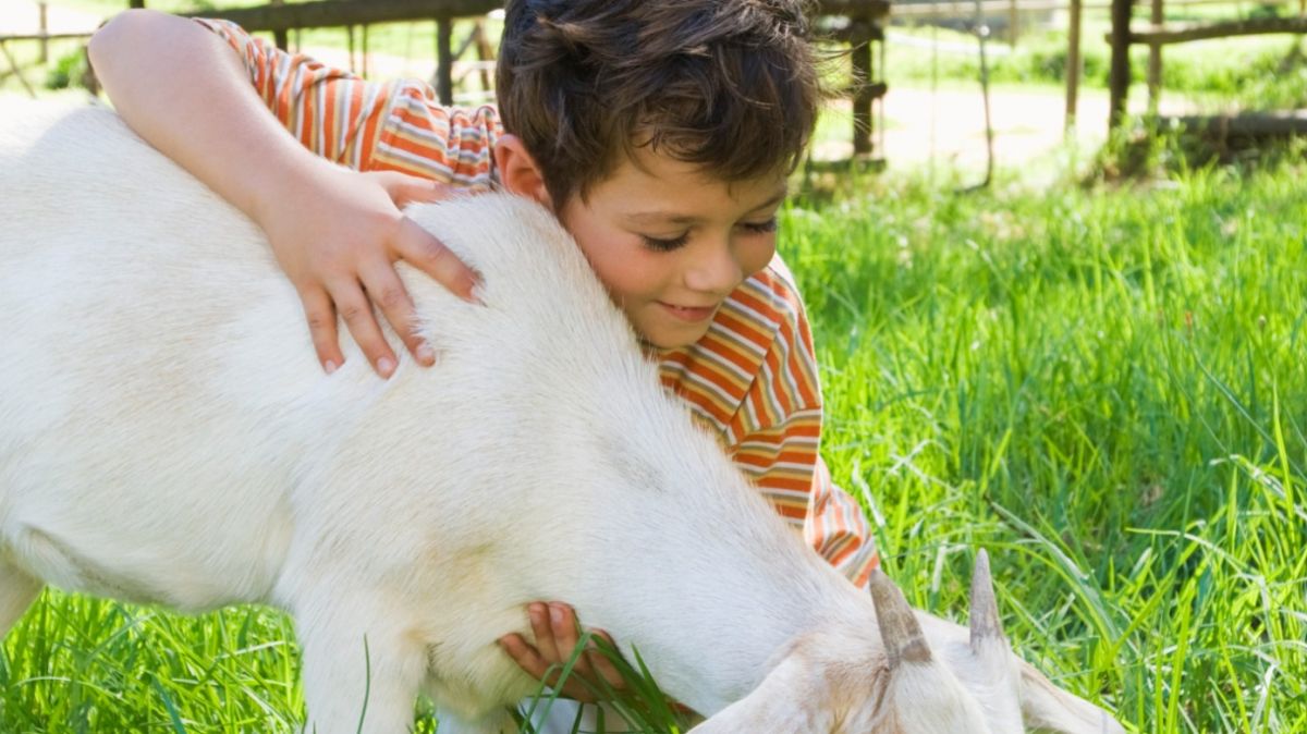 WATCH: Police mistake goat for man yelling 'help'