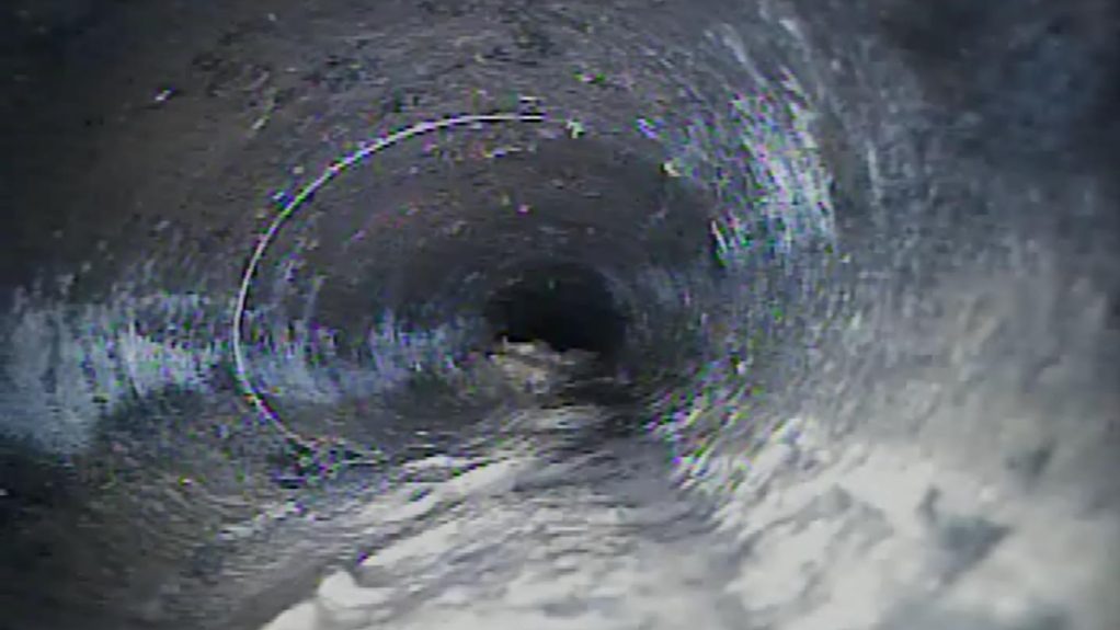 Robot camera finds alligator in Florida water pipe