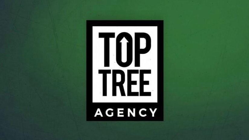 Top Tree Agency, digital marketing and branding strategies, Houston,  Texas best digital marketing agency, Layne Schmerin and Jonathan Lepow