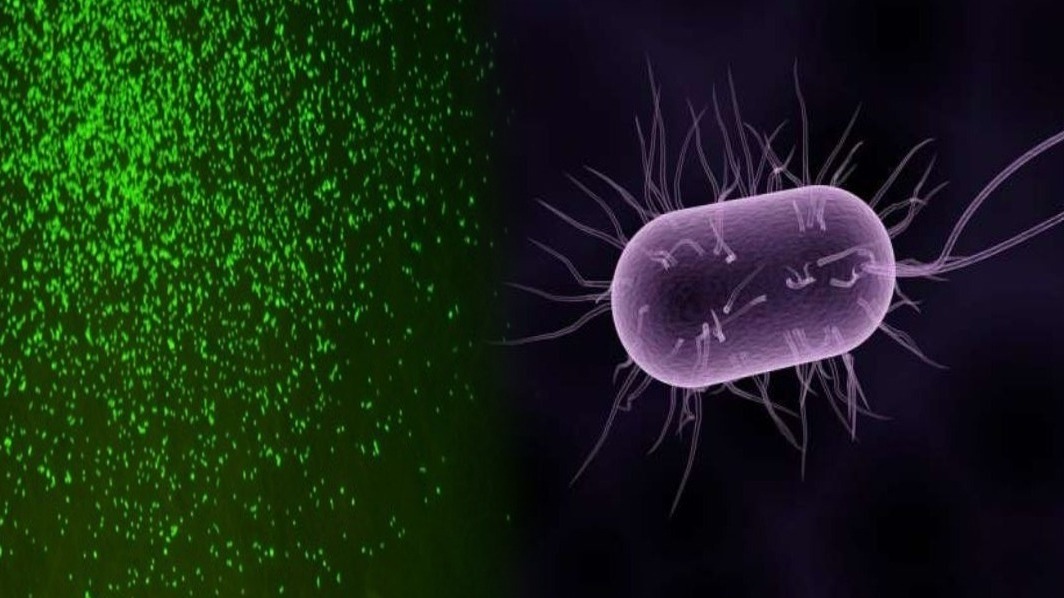 scientist, microbes, Scientists Revived A 100-Million-Year Old Microbes.