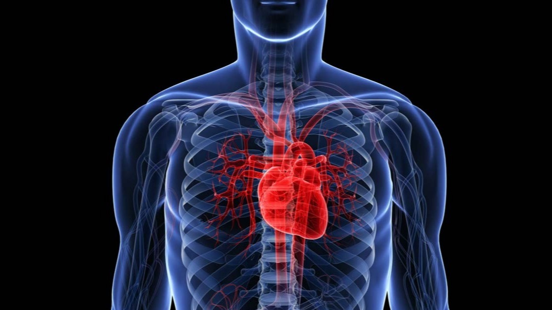 IPSCs , noninvasive stem cell solution, Disease, CRISPR-Cas9, Noninvasive Stem Cell: Long-Term Cell After Implanted Into The Heart., Cynthia Dunbar,  M.D.