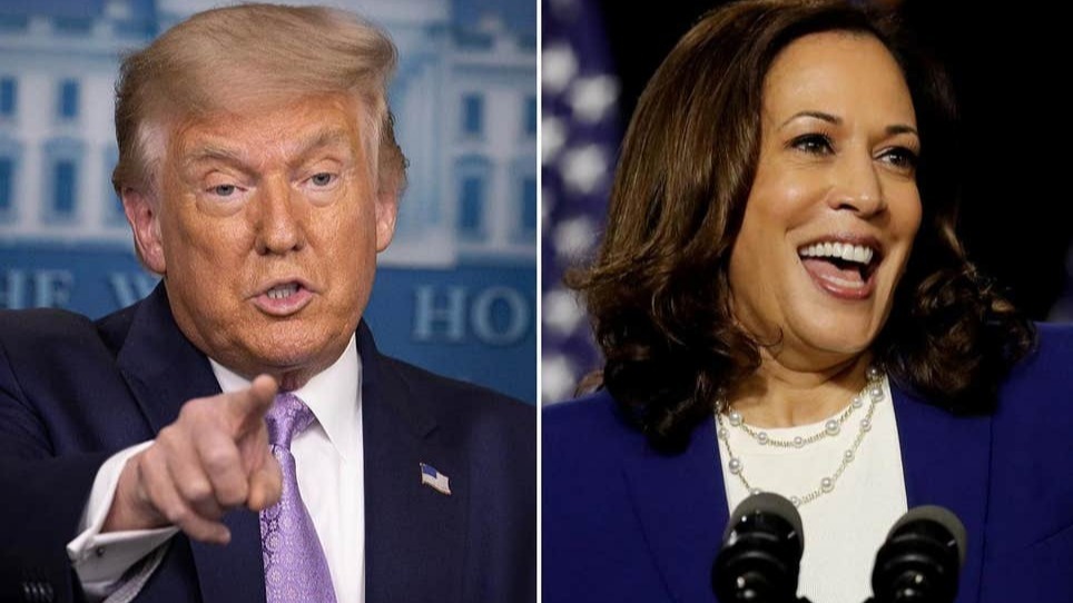 Republican White House, Ted Cruz, Obama , Jessica Levinson, Trump battle guide,  Jenna Ellis, Constitution's 'Citizenship Clause'