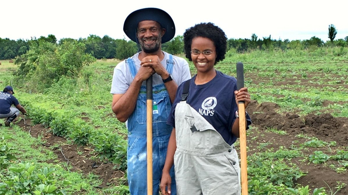 COVID-19, Doctor-Botanist Couple, Chinese medicine, Southeast Asia, The Doctor-Botanist Couple Improving A Community In The Rural South.