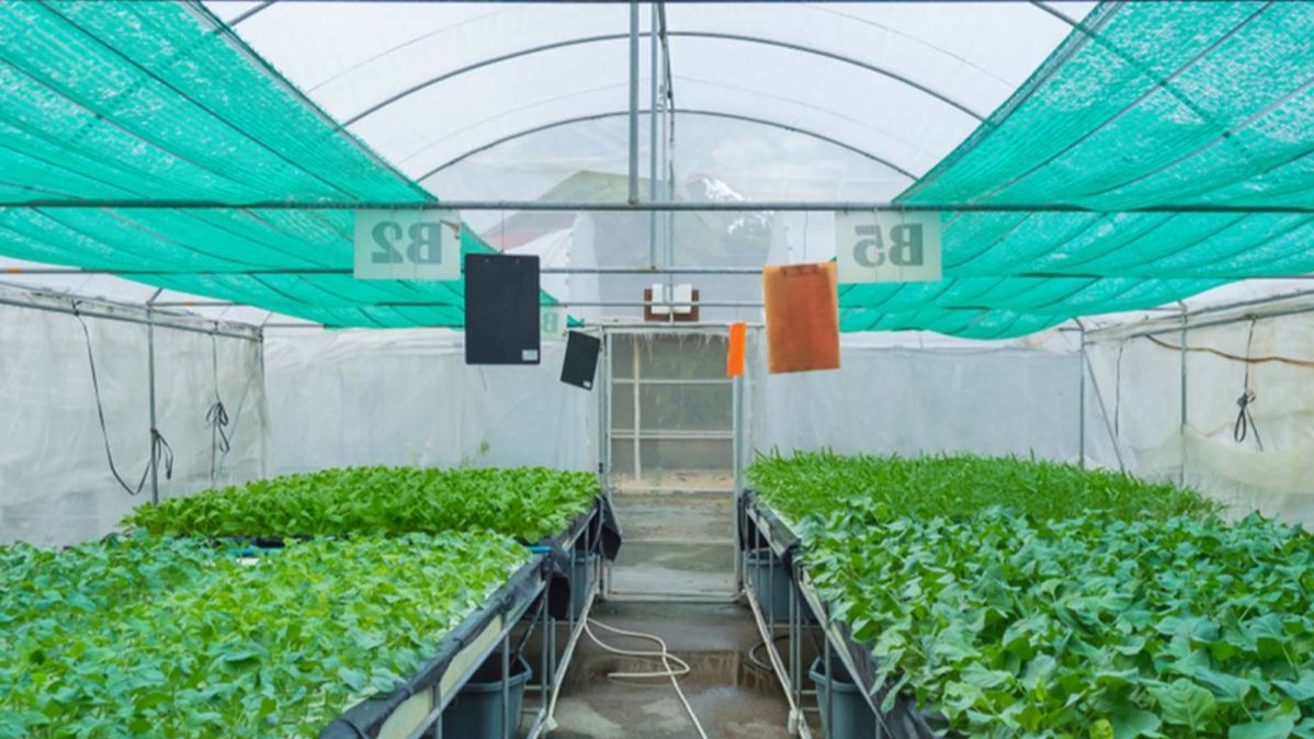 Rishi Techtex: Riding the Wave of India's Rising Stock Market, Rishi Techtex, india stock market