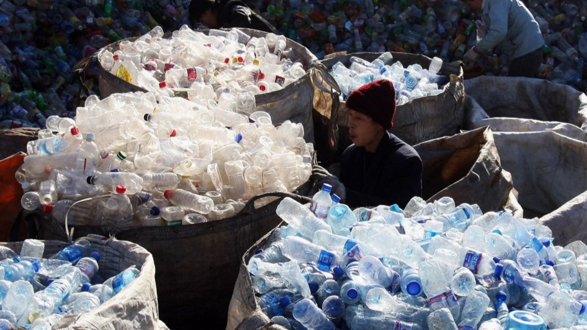 Plastic Eating Bacteria, scientists