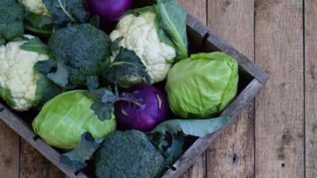 Vegetables, Western Australian , human health,  Australian state