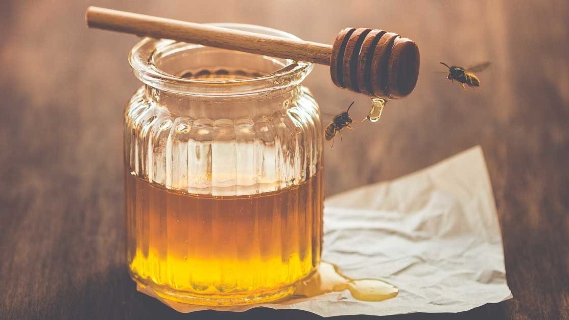 Oxford, Higher tract infection, Honey, Dr Albury, National Institute for Health and Care Excellence (NICE), Public Health European nation (PHE), University of Oxford&rsquo;s