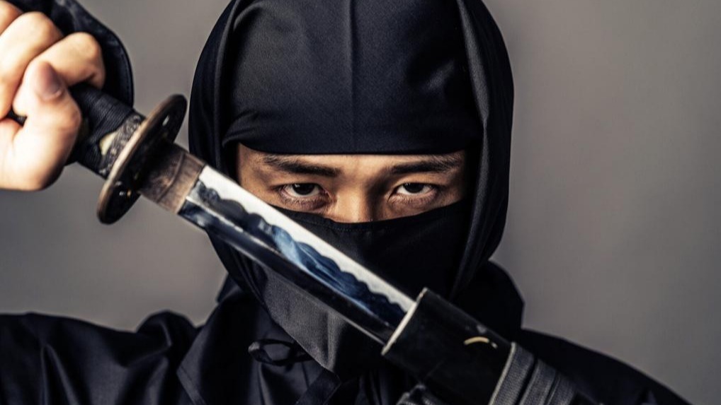 ninja Museum, Japanese Museum, Ninja Heist, Iga-Ryu, japan