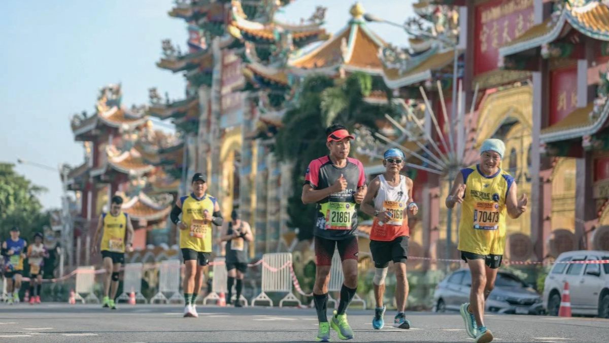 West of England news,  Somerset carnival,  Swindon Half Marathon,  Bristol Airport expansion,  Gloucester Christmas Lights,  Somerset wildlife rescue