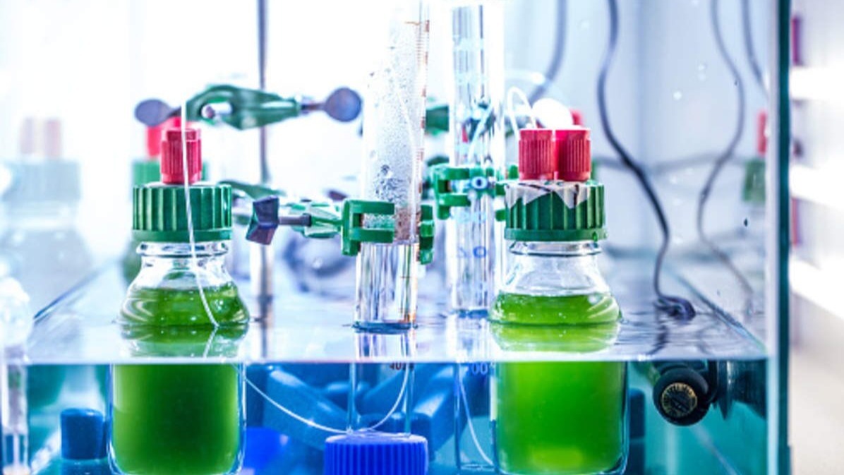 bogus leaf, artificial leaf, Artificial ,  Chemical Action, Fuel, green house gas