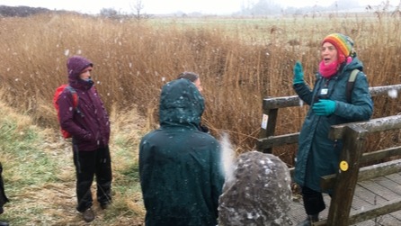 wildlife trust,  land restoration,  habitat conservation,  biodiversity,  restoring ecosystems,  environmental funding,  reforestation,  native species protection,  climate change impact,  sustainable future