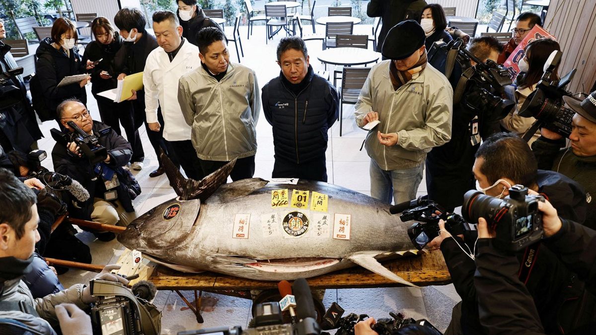 Tokyo auction,  bluefin tuna,  motorbike-sized tuna,  Toyosu market,  sushi restaurateurs,  Onodera Group,  Michelin-star restaurants,  record-breaking tuna price,  Aomori region tuna,  fish market