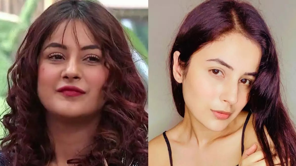 Bigg Boss ,  Shehnaaz gill, weight , loss, WHO