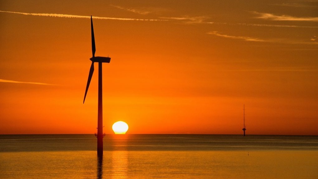 'photo sheets' , plants, process, Artificial Chemical Action, energy , fuel, SUN