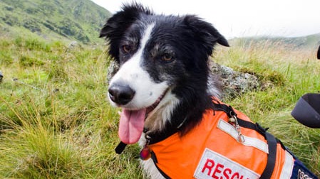 road closures,  traffic disruptions,  urban areas,  construction projects,  accidents,  detours,  local authorities,  community impact,  infrastructure improvements,  communication