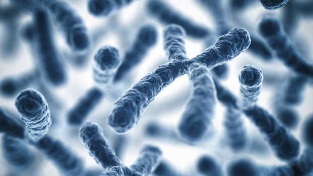 Gene Disorder, Chromosomal disorders, body disorder, Single-gene disorders, Disorders