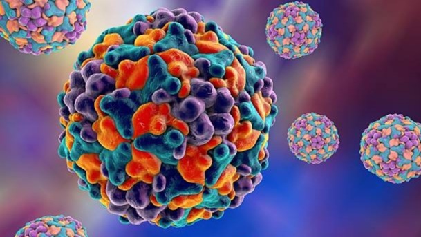 communicable diseases, virus, cosavirus, Brazil, Disease