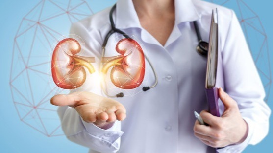 kidney disease, Bk Virus, BKS, Infection, polyomavirus