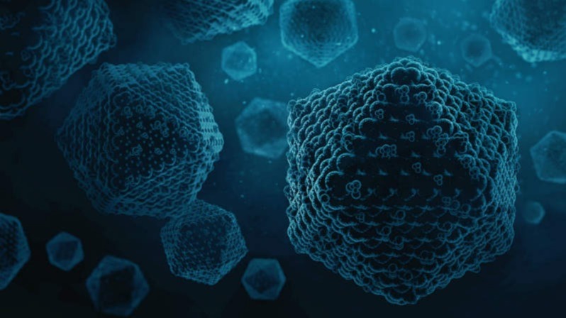 virus, adeno-associated virus, AAV, Bob Atchison, Dependoparvovirus