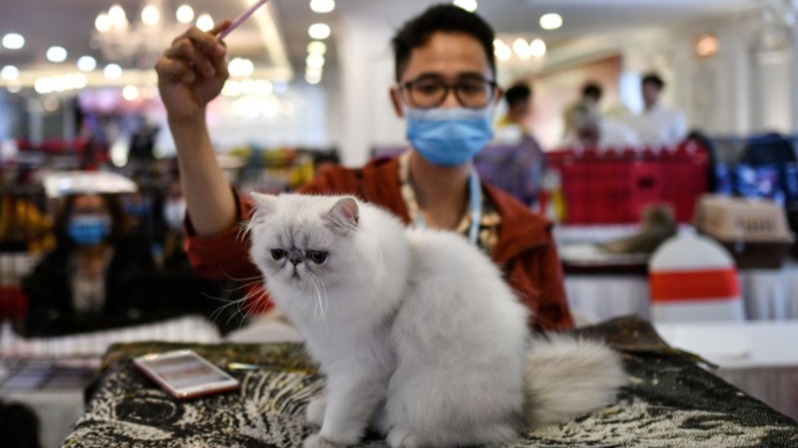 Researchers, COVID-19, Virus, SARS-CoV-2, human