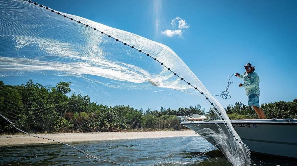 illegal fish traps,  Italy Mediterranean,  illegal fishing Italy,  marine biodiversity,  fish poaching,  Italian Coast Guard,  sustainable fishing,  Mediterranean ecosystem,  unregulated fishing,  marine conservation