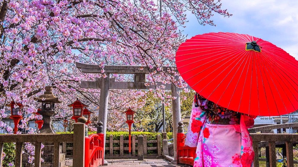 Japan sun umbrellas,  Japanese higasa,  UV protection culture,  sunny day umbrella habit,  Japanese skincare traditions,  parasol in Japan,  Japanese summer fashion,  sun protection accessories,  Japanese beauty standards,  UV-blocking umbrellas Japan