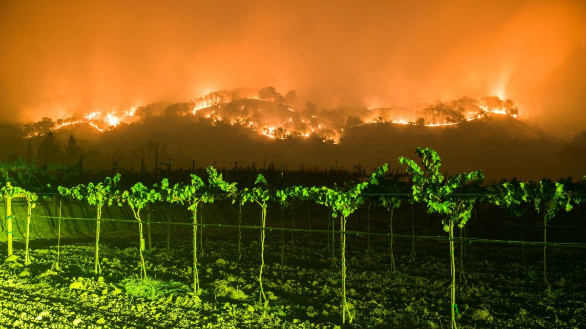 Napa Valley wildfire,  California wine country fire,  Napa fire updates,  wildfire in Napa Valley,  California vineyard fire,  Napa Valley evacuation,  Napa Valley wine industry threat,  California wildfire 2025,  Napa fire news,  climate change wildfires