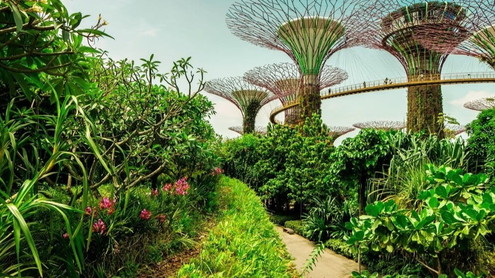 French Riviera,  car free island,  Mediterranean travel,  eco friendly tourism,  nature escape,  sustainable travel,  European islands,  travel destinations,  culture and relaxation,  clean environment