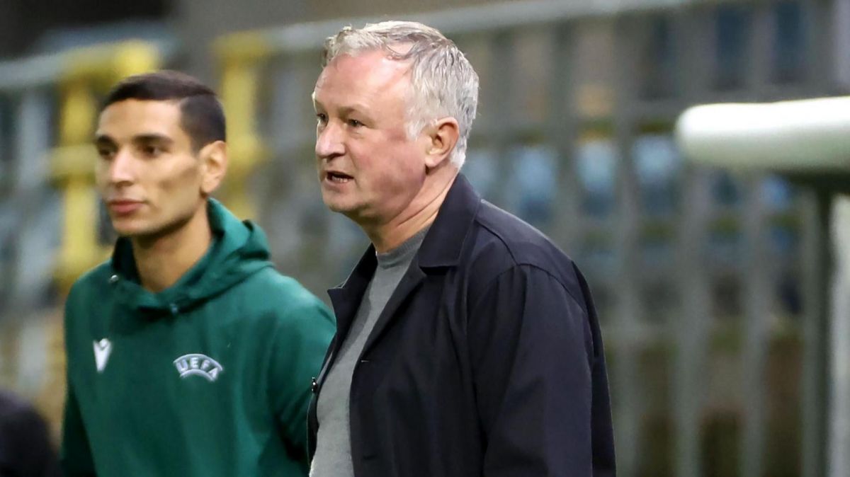 Michael O'Neill,  Germany,  Northern Ireland,  football,  World Cup qualifier,  Serge Gnabry,  Florian Wirtz,  disappointment,  Isaac Price,  Nadiem Amiri