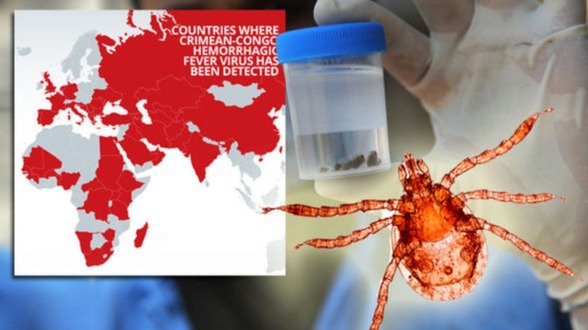 human,  District, confo fever, COVID-19, animal